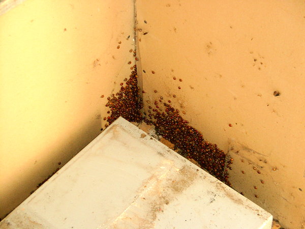 2005103015.jpg